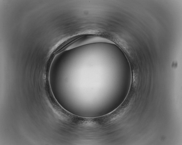 X0000090470348200707201359