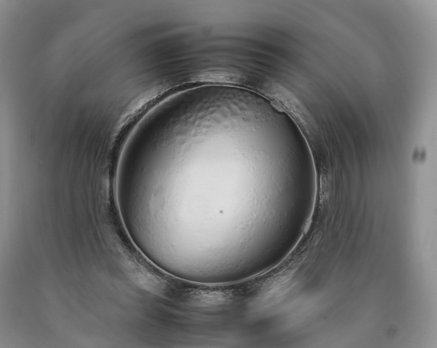 X0000090470349200707201359
