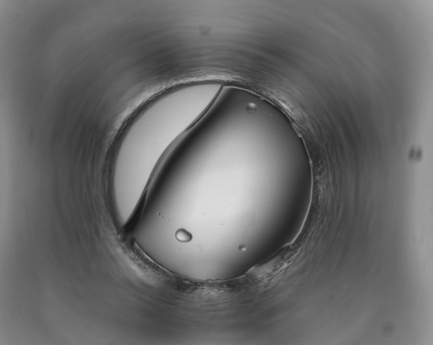 X0000090470350200707201359