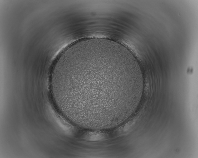 X0000090470351200707201359