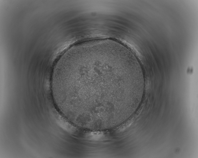 X0000090470353200707201359