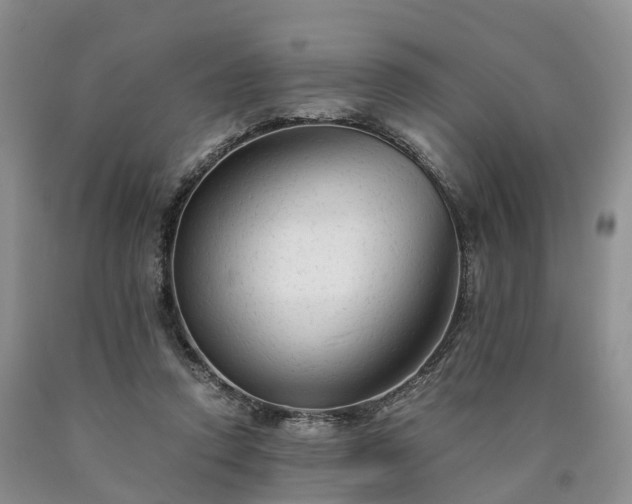 X0000090470354200707201359