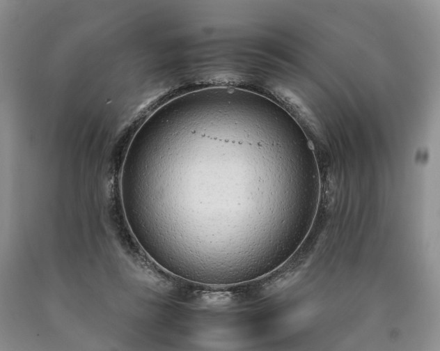 X0000090470355200707201359