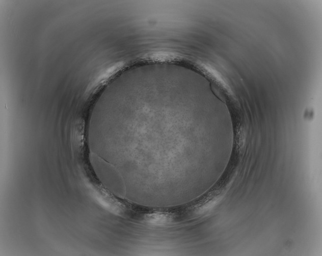 X0000090470356200707201359