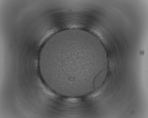 X0000090470357200707201359