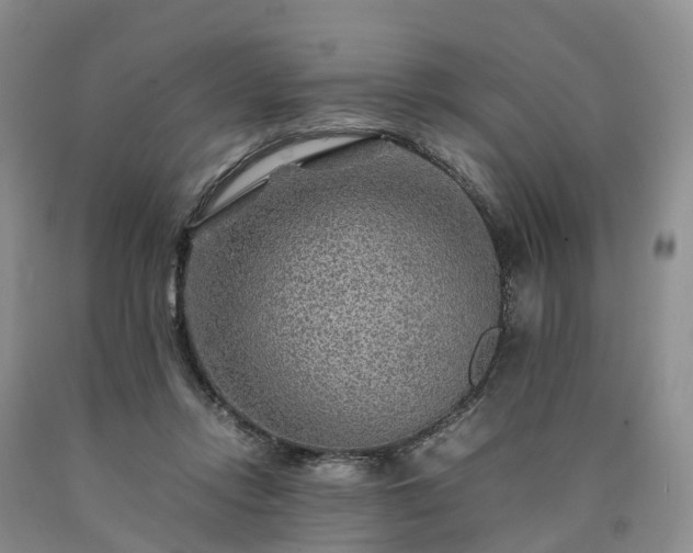 X0000090470358200707201359