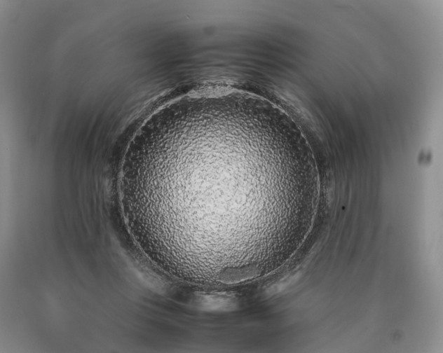 X0000090470359200707201359