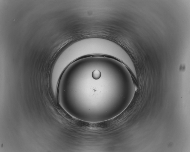 X0000090470360200707201359