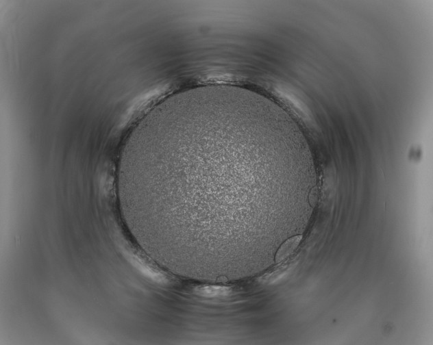X0000090470361200707201359