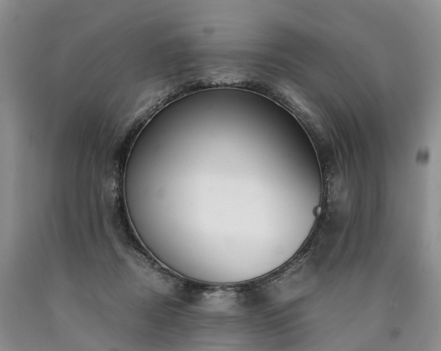 X0000090470362200707201359