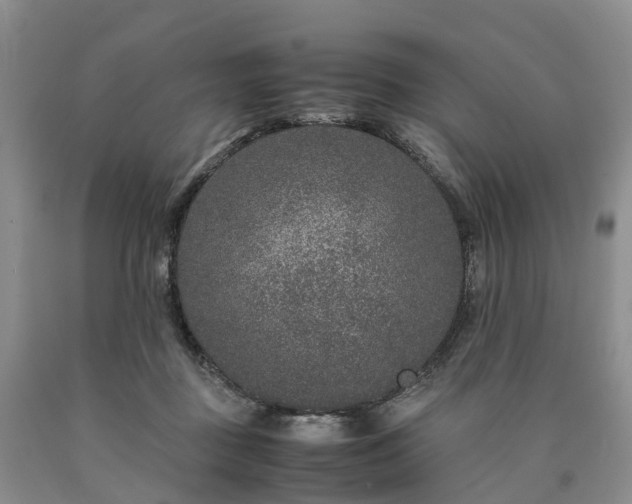 X0000090470363200707201359