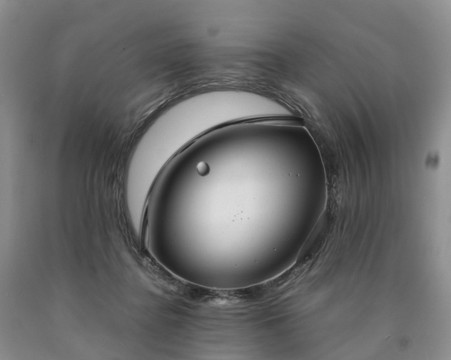 X0000090470364200707201359