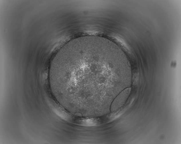 X0000090470365200707201359