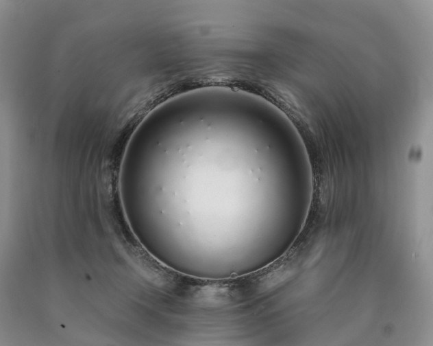 X0000090470366200707201359