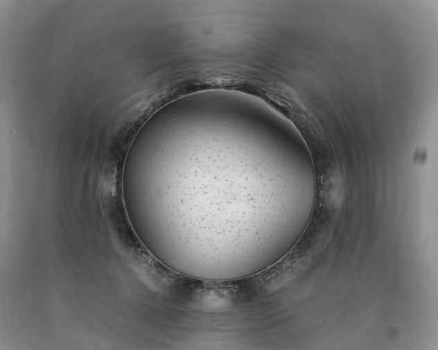X0000090470368200707201359