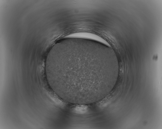 X0000090470369200707201359