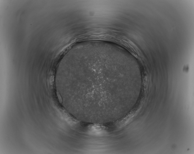 X0000090470372200707201359