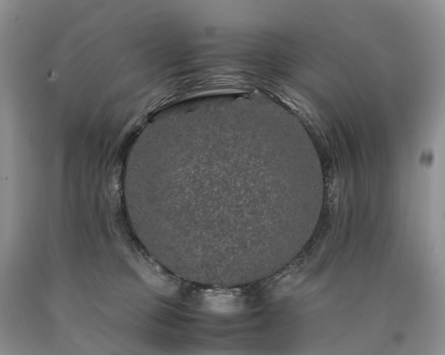 X0000090470373200707201359