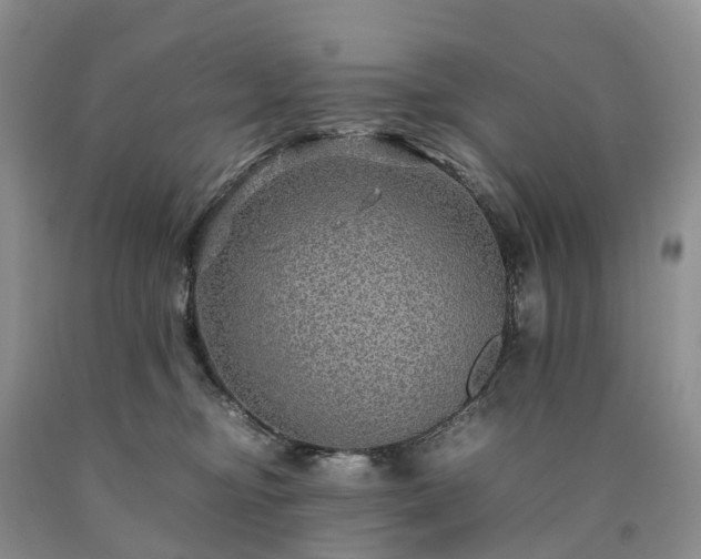 X0000090470374200707201359