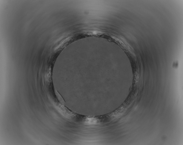 X0000090470376200707201400
