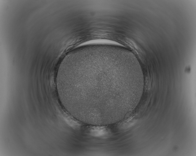 X0000090470377200707201400