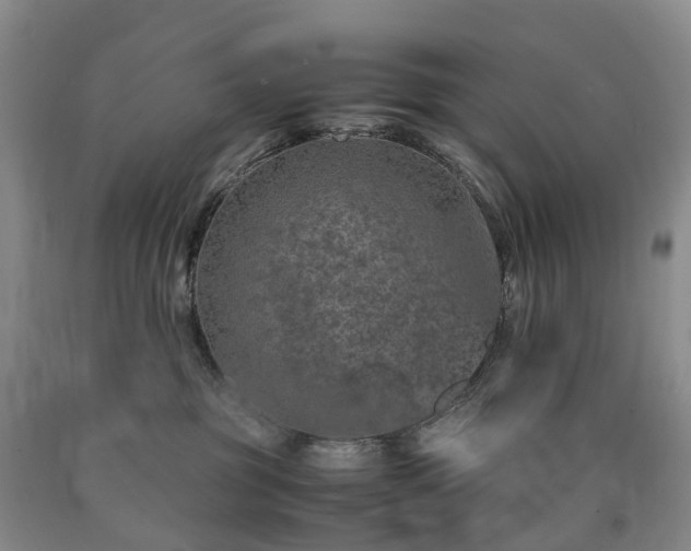 X0000090470381200707201400
