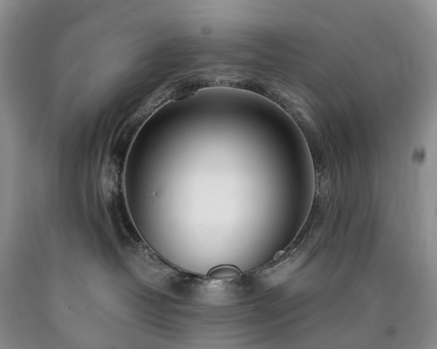 X0000090470382200707201400