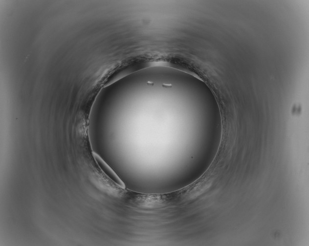 X0000090470384200707201400