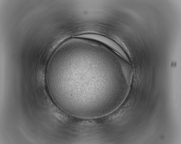 X0000090470386200707201359