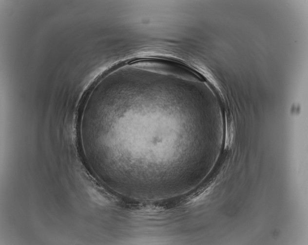 X0000090470387200707201359