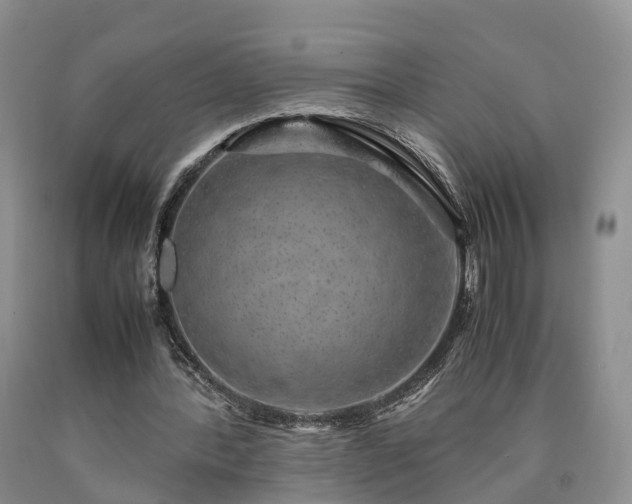 X0000090470388200707201359