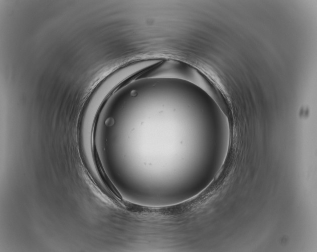 X0000090470389200707201359