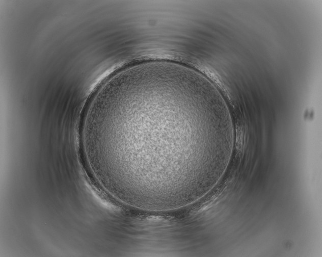 X0000090470390200707201359