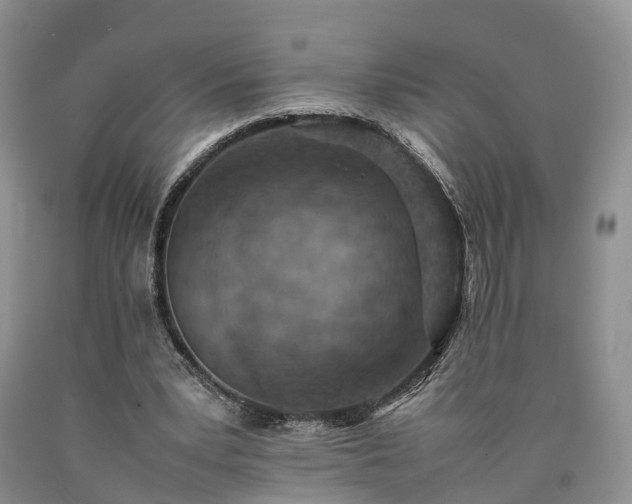 X0000090470391200707201359