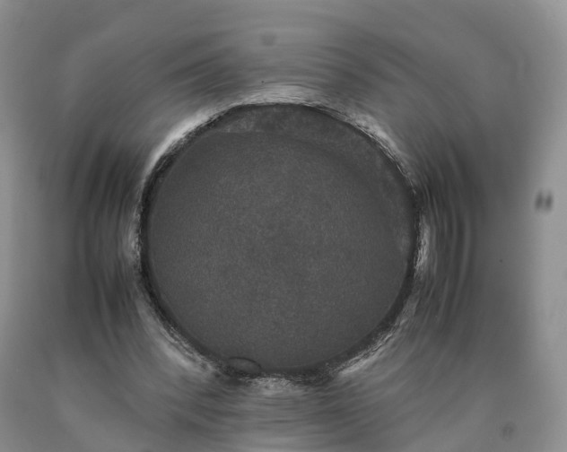 X0000090470392200707201359