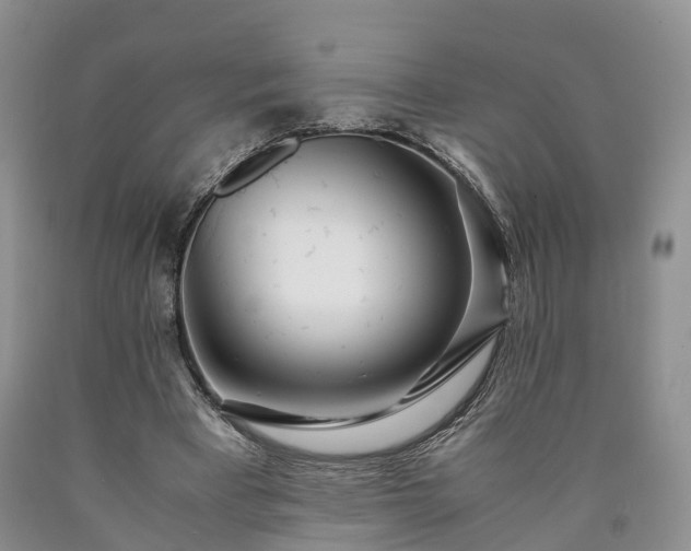 X0000090470393200707201359