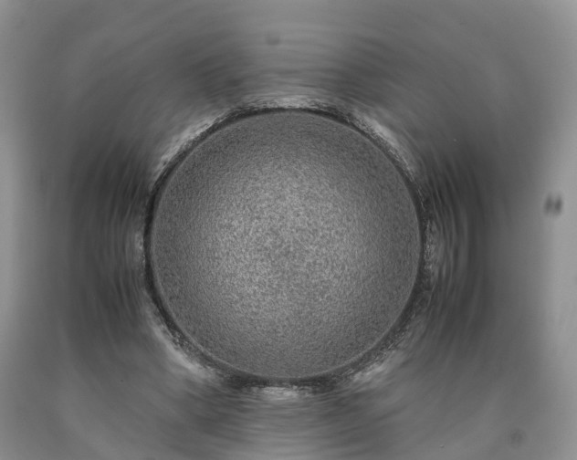 X0000090470394200707201359