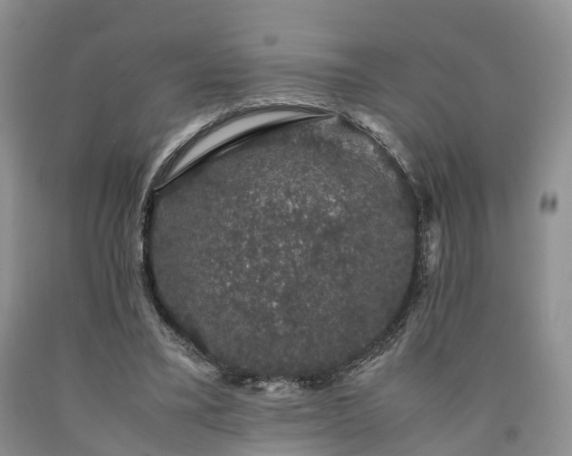 X0000090470395200707201359