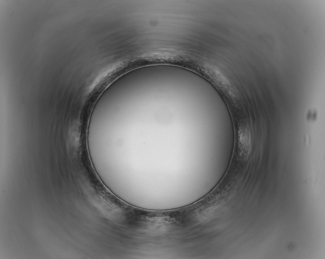 X0000090470396200707201359