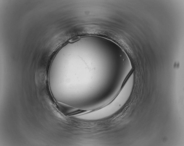 X0000090470397200707201359