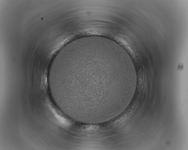 X0000090470398200707201358
