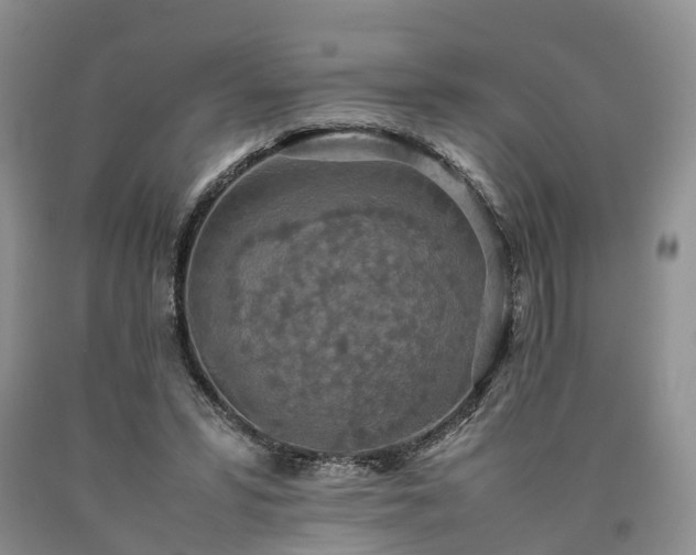 X0000090470399200707201358