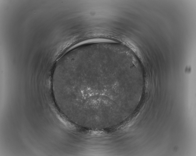 X0000090470401200707201358
