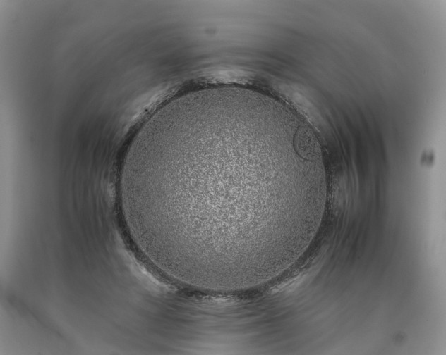 X0000090470402200707201358