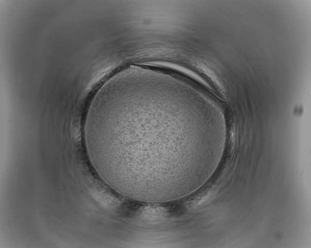 X0000090470403200707201358
