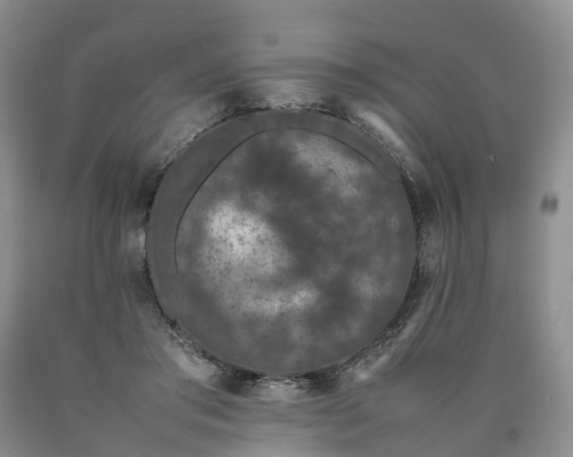 X0000090470405200707201358