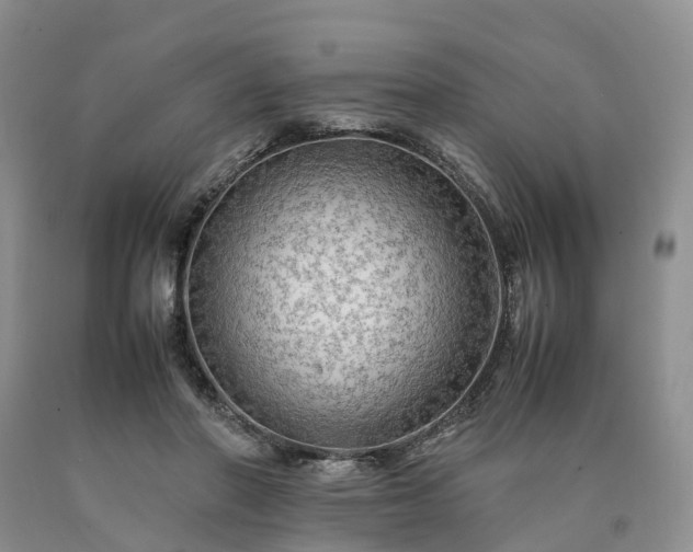 X0000090470406200707201358