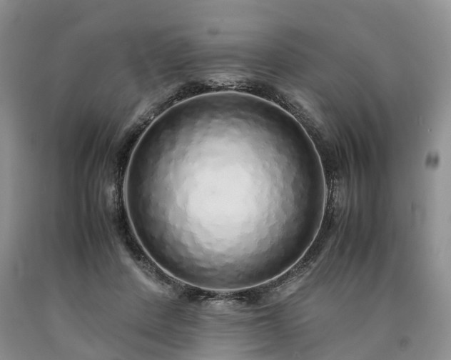 X0000090470408200707201358
