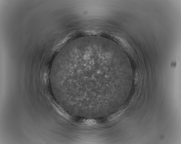 X0000090470409200707201358