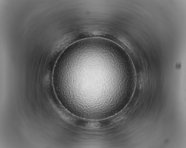 X0000090470410200707201358